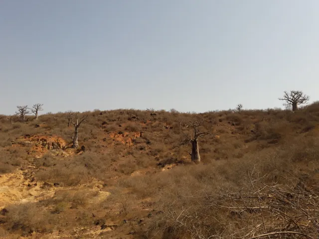 Réserve naturelle de Popenguine