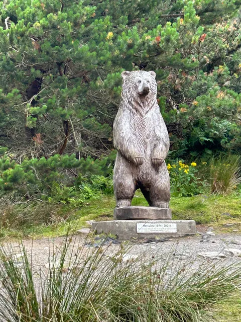 Hercules the Bear Sculpture
