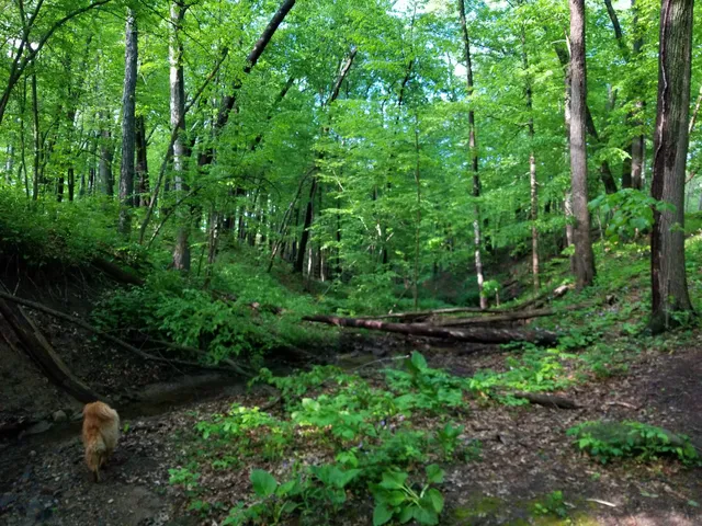 Kuebler Langford Nature Area