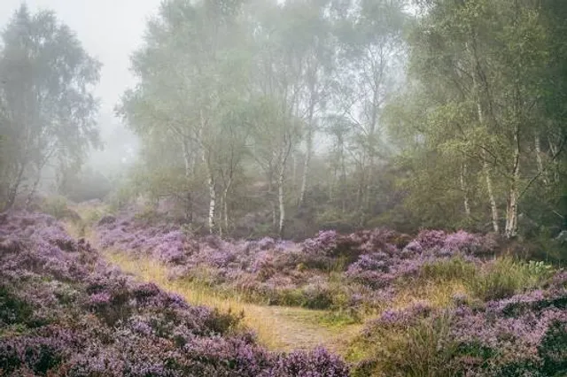 Cooper's Hill, Bedfordshire