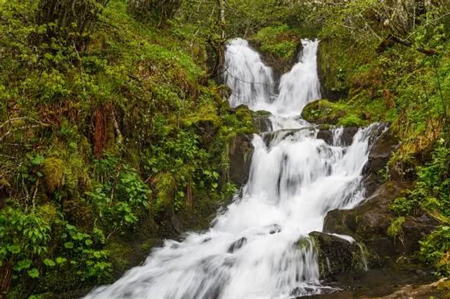 Reserva de la Biosfera Valle de Laciana