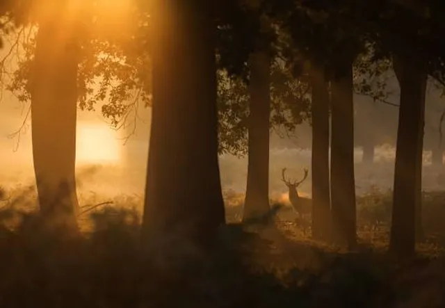 Sam Benn Memorial Park