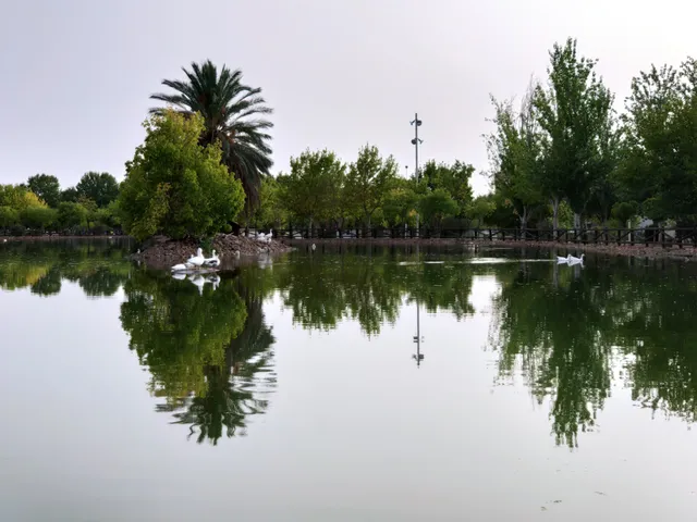 place image