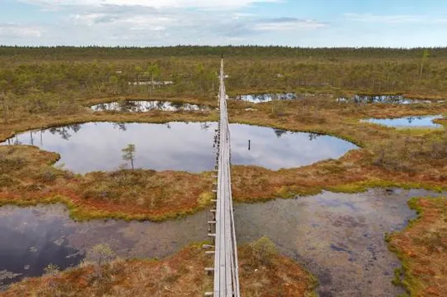 Männikjärve raba õpperada (7,3 km)