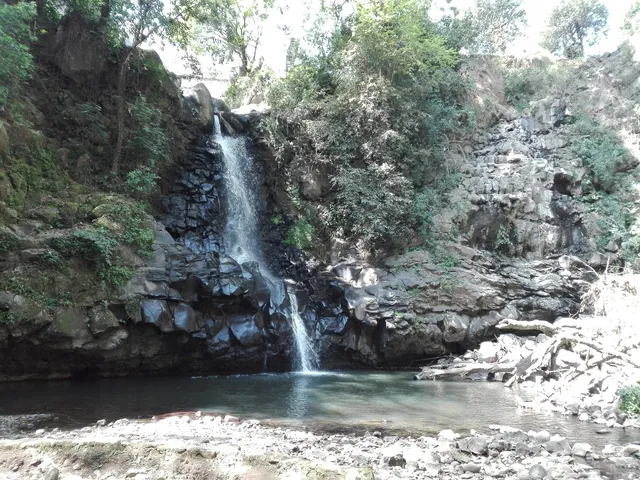 Lineal Quetzalapan - Sedeño Park