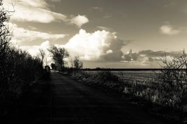 McDonald Woods Forest Preserve