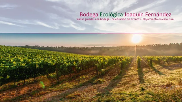 Bodega Joaquín Fernández