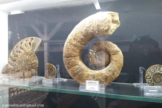 Muzey Kamnya I Samotsvetov