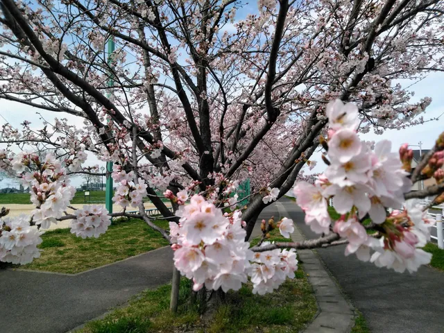 Nishimizumoto Waterside Park