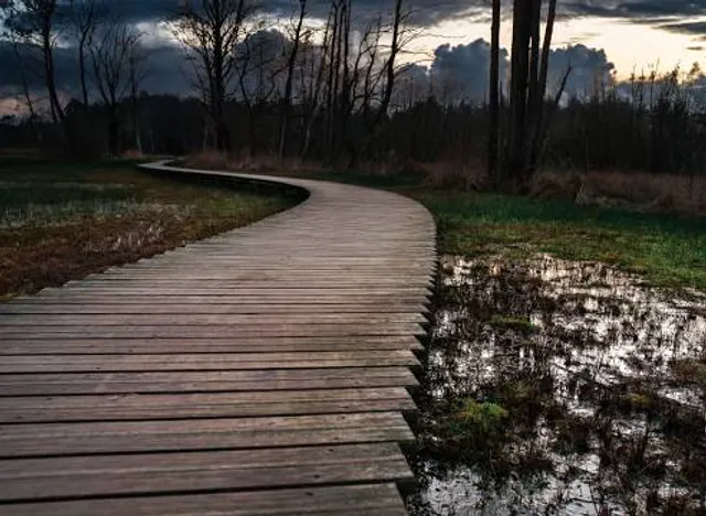 Vlonderpad Landgoed Tongeren