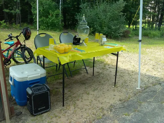 Northfield Lemonade Stand