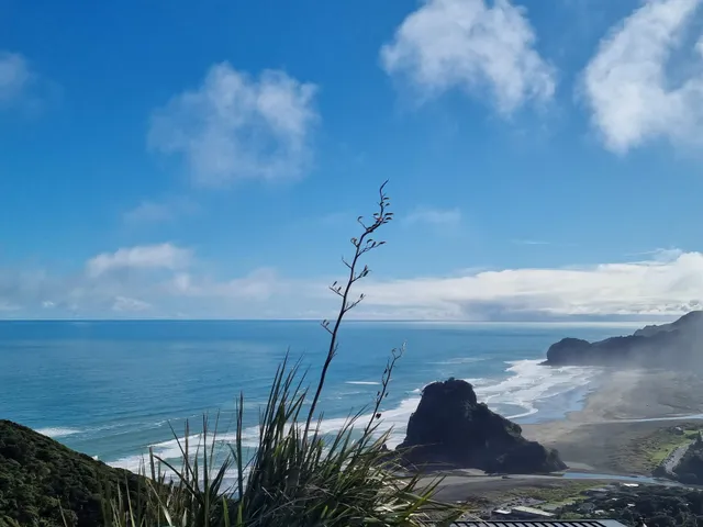 Piha Beach Lookout, Piha Road