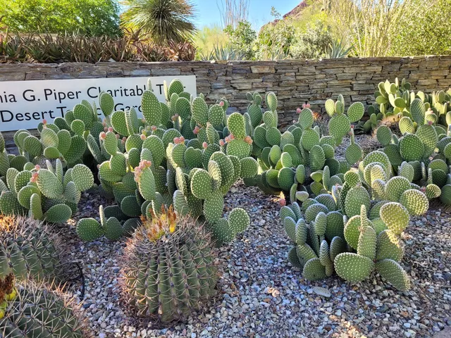Entrance to Desert Botanical Garden