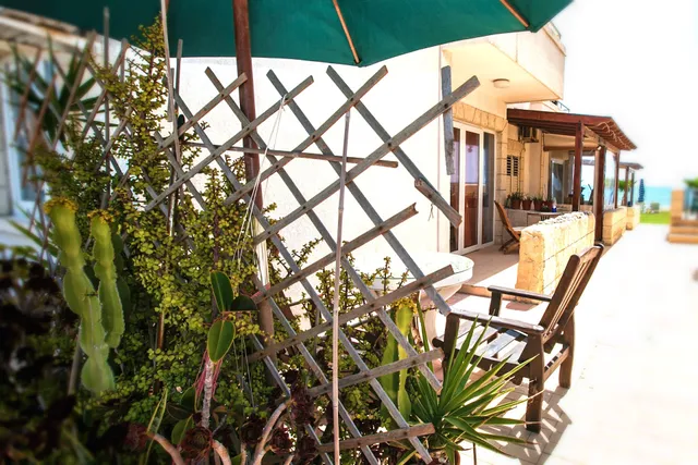 Aquarium Beach House 32