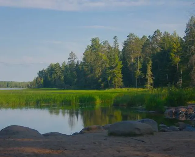 Mississippi Headwaters State Forest