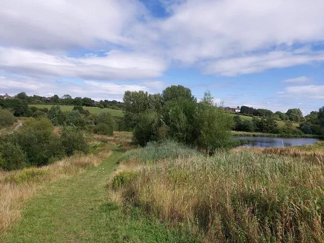 Whitfield Valley Nature Reserve