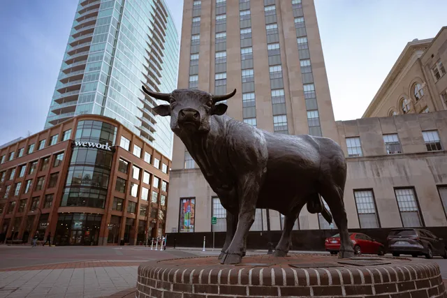 "Major" – Durham Bull Bronze Sculpture