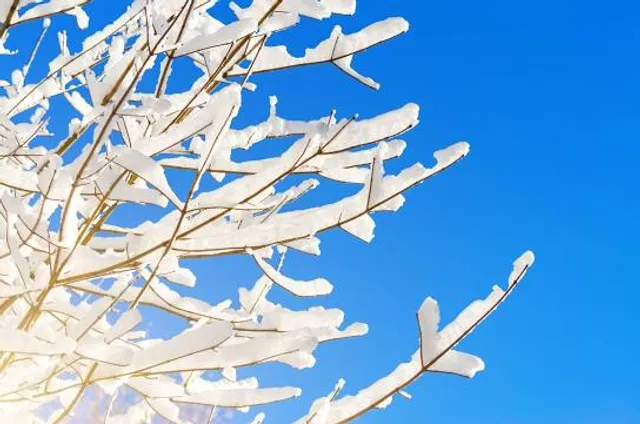 Kariba Water Gamepark