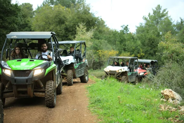 טרקטורוני נוף הורדים