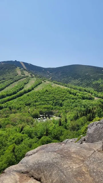 Artist's Bluff Lookout
