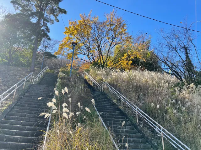 Okuyama Park