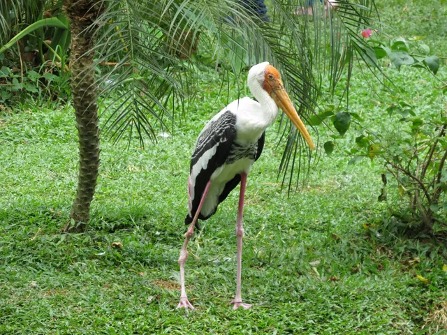 Zoo & Park Ulu Klang KL