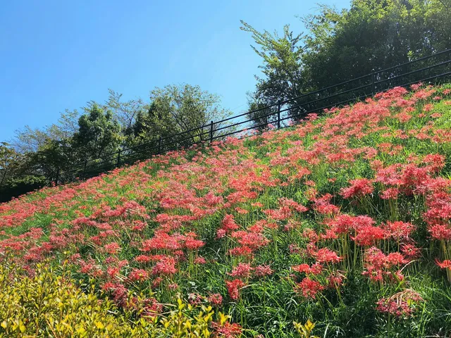 Minamiashigarashi Sports Park