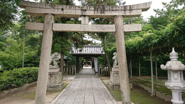 photo-2
