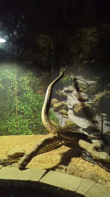 Little River Plaza Shopping Center