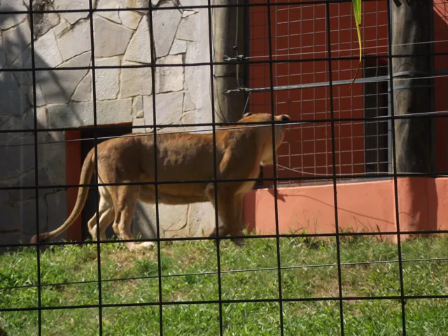 Zoológico De Paulínia