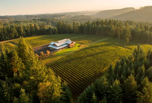 J.K. Carriere - Wine Tastings, Appointment or Walk In