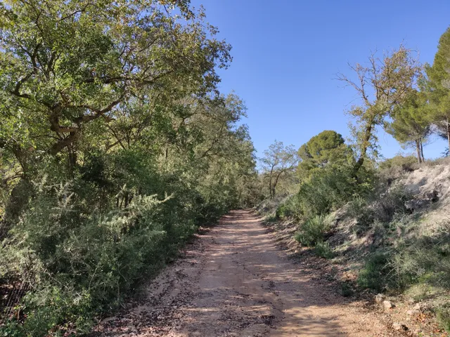 Dehesa del Carrascal