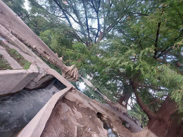 place image