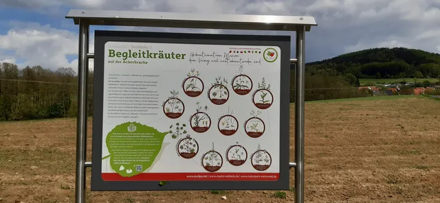 Ewilpa - Essbarer Wildpflanzen Park