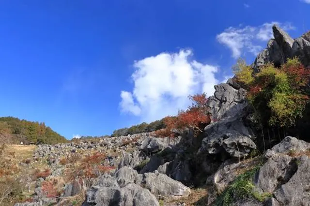 Sakawa Naumann Karst