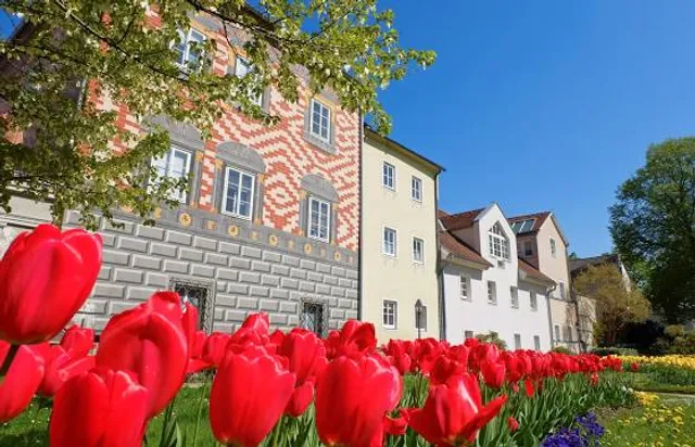 Haus der Salome Alt, Das Hoffmannsche Freihaus,