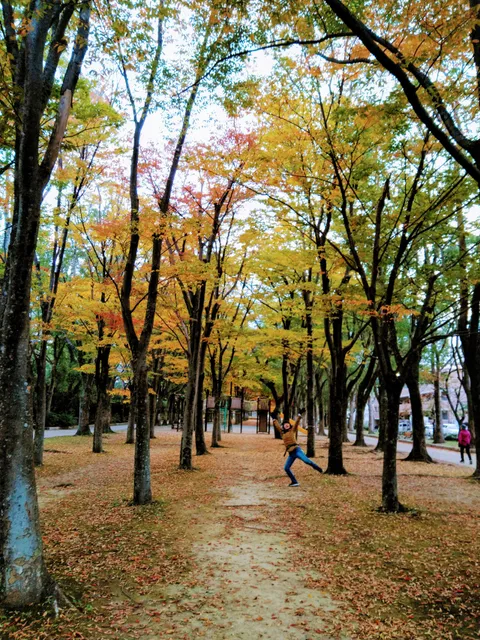 Ushikawayuho Park