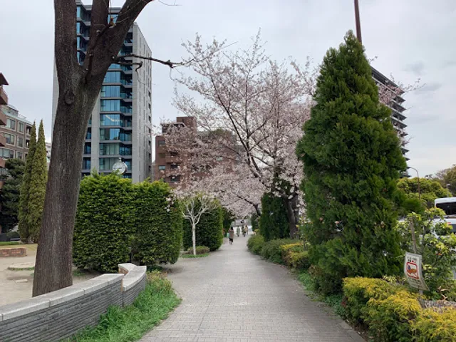 Chidorigafuchi Park West Side