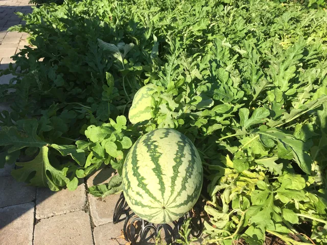 Concord United Methodist Church