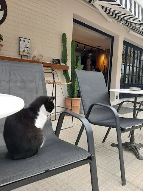 Bean tree Coffee & More