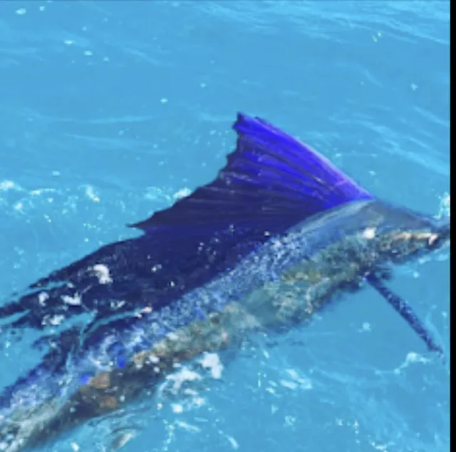 Ultra Grand Slam Fishing