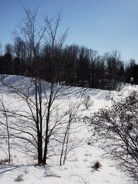 Marker Marker 263: Wisconsin's Dairy Industries