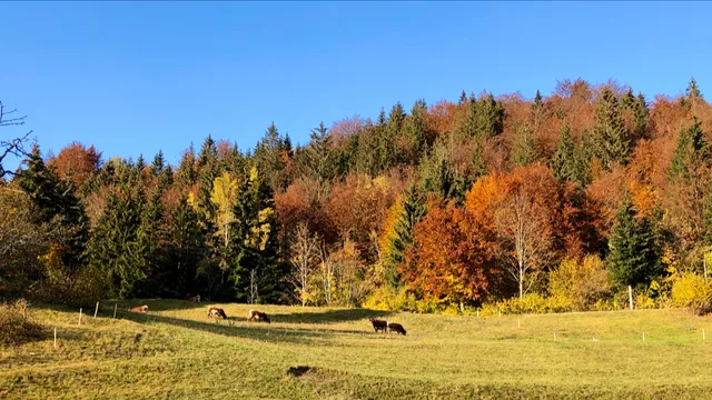 Apart hotel Villa Manja