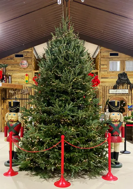 Lowry's Santa’s Tree Village