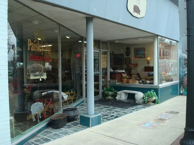 Paisley Pig Antiques & Collectables