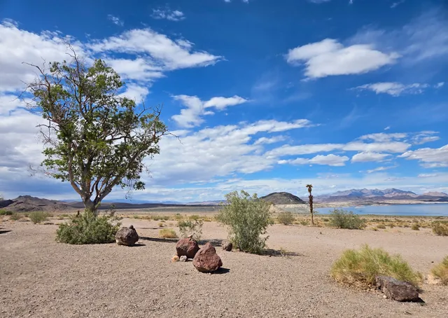 Boulder Beach Picnic Area
