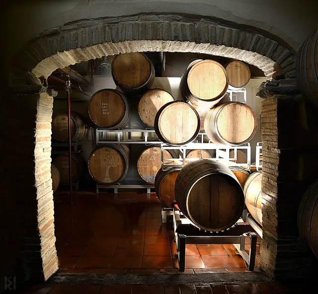 La Spinosa - Wine tasting - Enoteca Il Canto Di Baccio