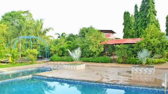 photo-3