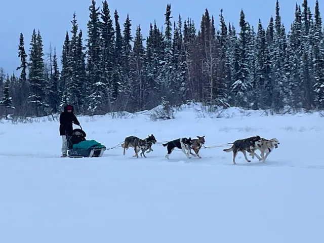 North of 60 Aurora Adventures