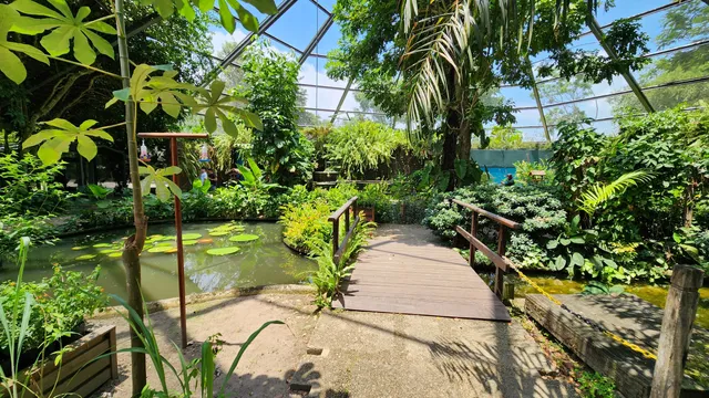 Borboletário do Mangal das Garças